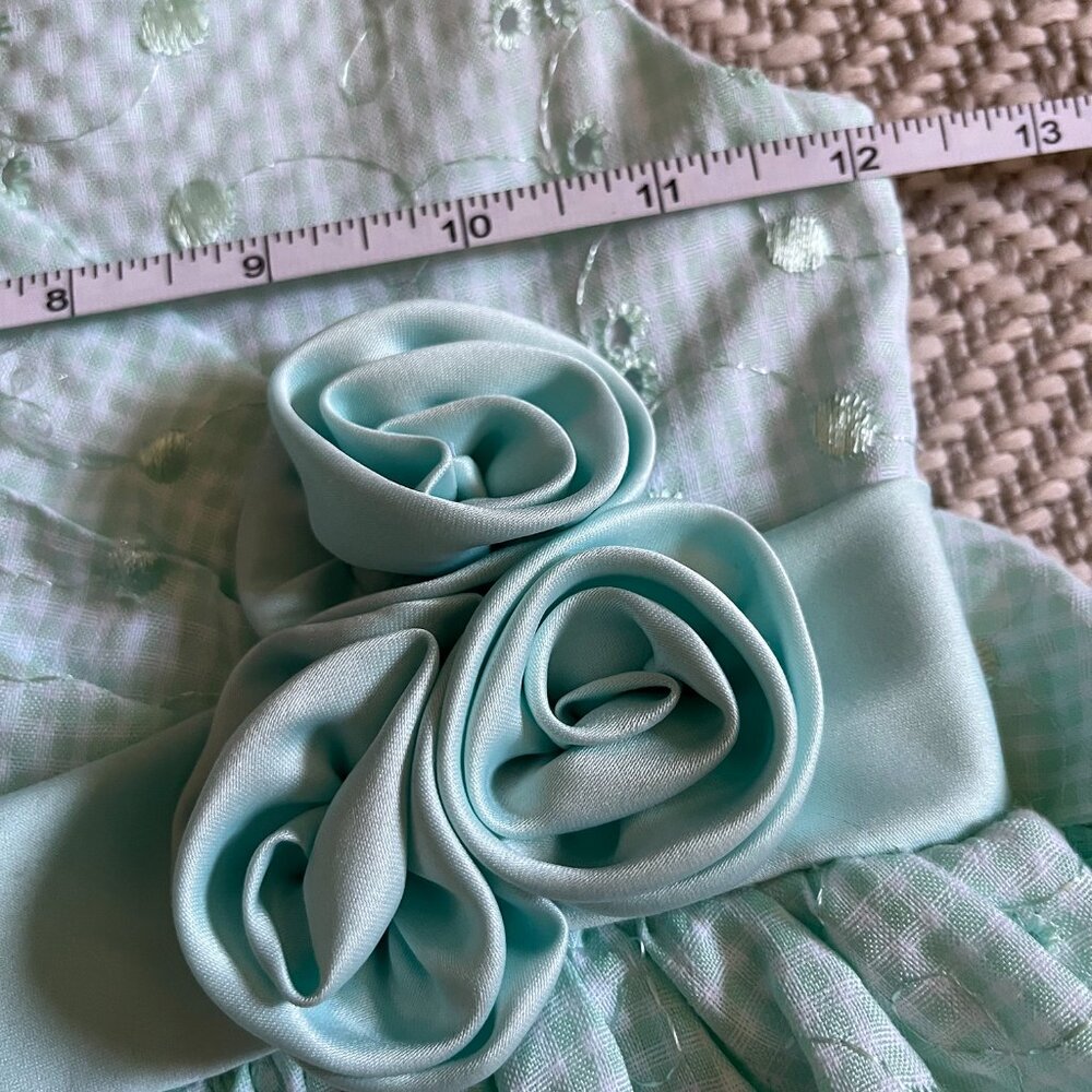 Bonnie Jean mint gingham eyelet dress 6X - Picture 13 of 13